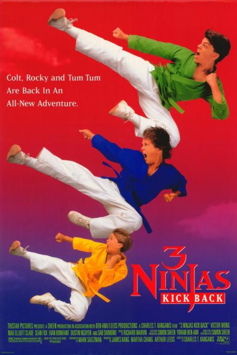3_Ninjas_Kick_Back-spb4721895