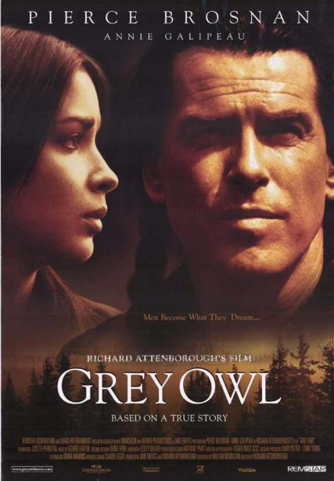 Grey_Owl-spb4806512