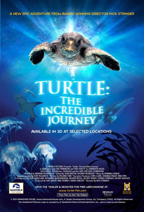 Turtle:_The_Incredible_Journey-spb4788322