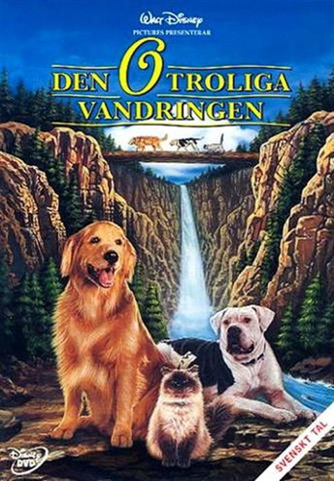 Homeward Bound Movie